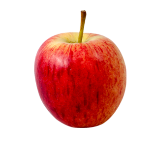 APPEL JONAGOLD DORP 8KG BE