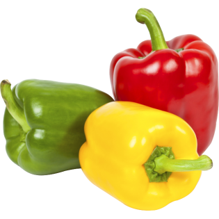 PAPRIKA MIX 3 KLEUR 5KG ESP