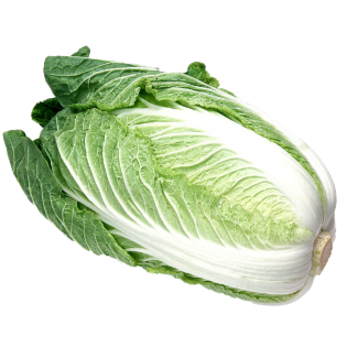 CHINESE CABBAGE 6PC ESP