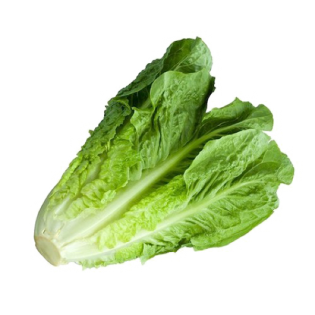 ROMAN SALAD WRAPPED 10PC ESP