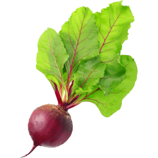 BEETS BUNCH 10PC BE