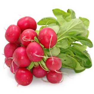 RADIS BUSHEL LAARZEN 15ST ALM