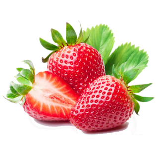 AARDBEI ELSANTA 8X500GR BE