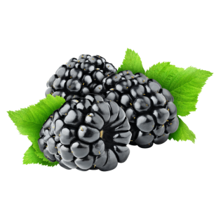 BLACKBERRIES 12X125GR BE