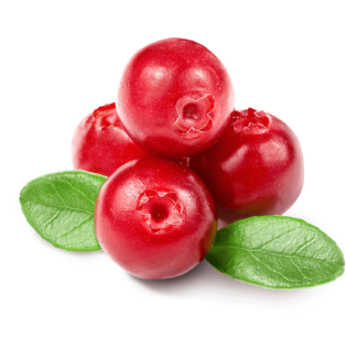 RED CURRANT 12X125GR BE