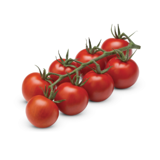 TOMATE MINISTAR 4KG BE