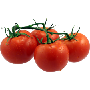TOMATE EN GRAPPE ELITE 5KG BE
