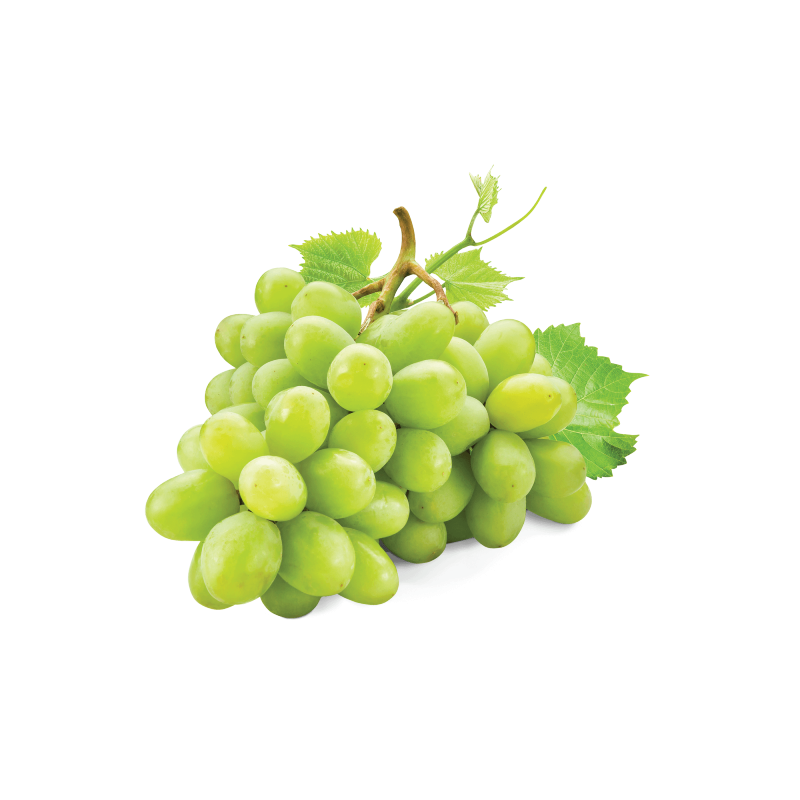 WHITE GRAPE 4.5KG ESP