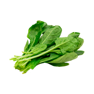 SPINACH ISO BOX 12PC ESP