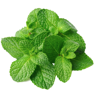 MENTHE ISO BOX 20PC ESP