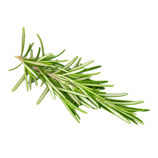 L'HERBE ROMARIN 10X80GR