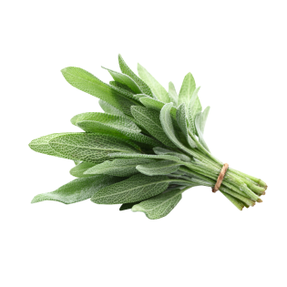 SAGE HERB 10X80GR BE