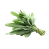 SAGE HERB 10X80GR BE