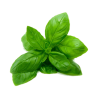 BASIL HERB 10X80GR BE