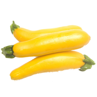 ZUCCHINI YELLOW 14PC | 5KG ESP