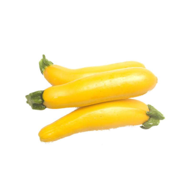 COURGETTE GEEL 14ST | 5 KG ESP