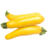 ZUCCHINI YELLOW 14PC | 5KG ESP