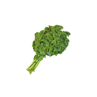 FRIZE PARSLEY 10PC BE