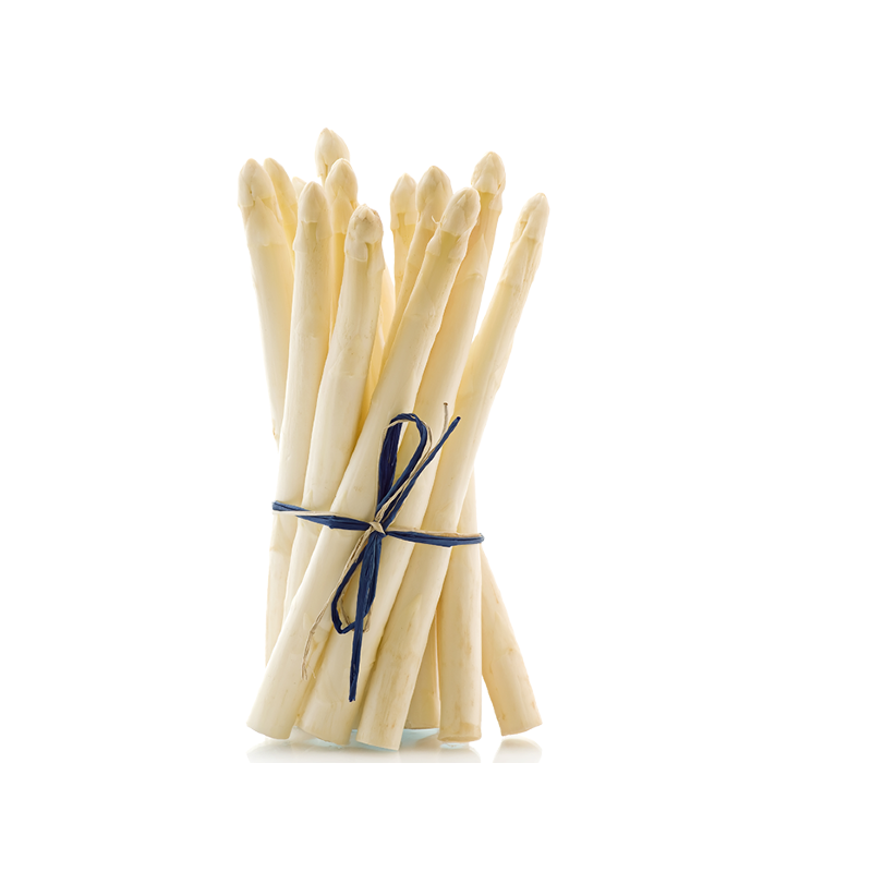 ASPERGES BLANCS 12PC BE