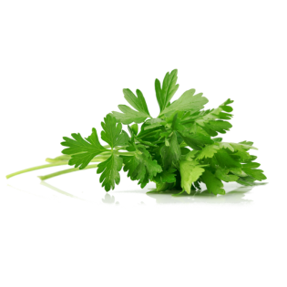 L'HERBE PERSIL 6X40GR BE