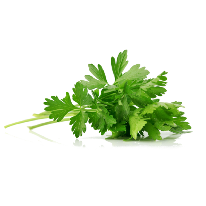 PARSLEY HERB 6X40GR BE