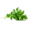 PARSLEY HERB 6X40GR BE