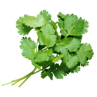 L'HERBE CORIANDRE 6X40GR BE