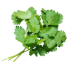 CORIANDER HERB 6X40GR BE