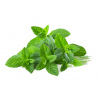 L'HERBE MENTHE 6X40GR BE