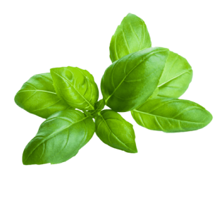 L'HERBE BASILIC 6X40GR BE