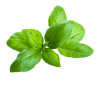 BASIL HERB 6X40GR BE