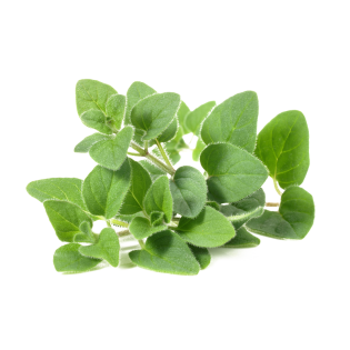 KEKİKO OTLU 6X40GR KEN