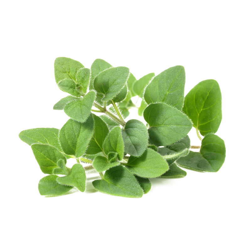 OREGANO HERB 6X40GR KEN