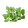 OREGANO HERB 6X40GR KEN