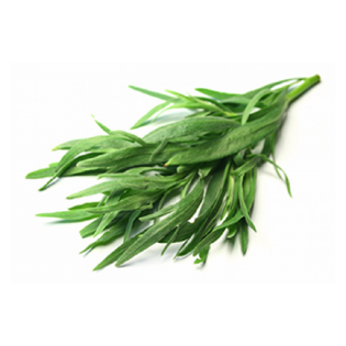 TARRAGON HERB 10X80GR BE
