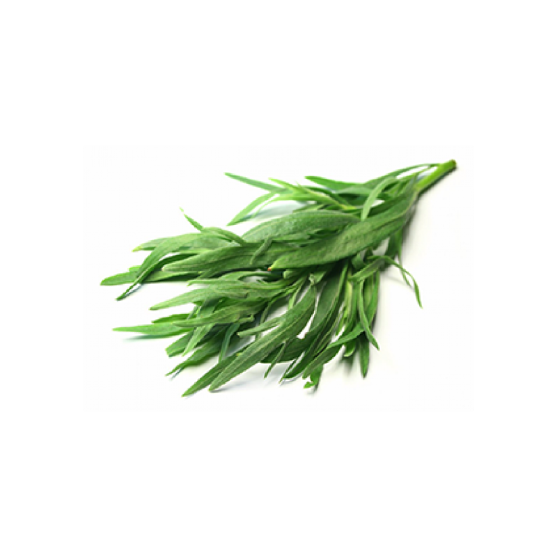 TARRAGON HERB 10X80GR BE