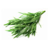 TARRAGON HERB 10X80GR BE