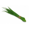 CHIVES HERB 10X80GR BE