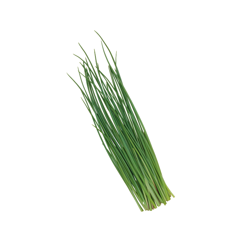 CHIVE HERB 6X40GR BE