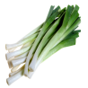 BULK LEEKS 10KG BE