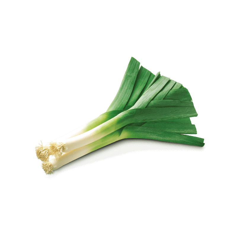 LEEKS BOOT 10PC BE