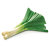 LEEKS BOOT 10PC BE