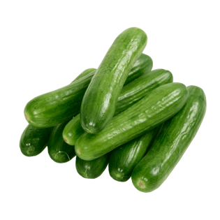 KOMKOMMER MINI 5KG BE