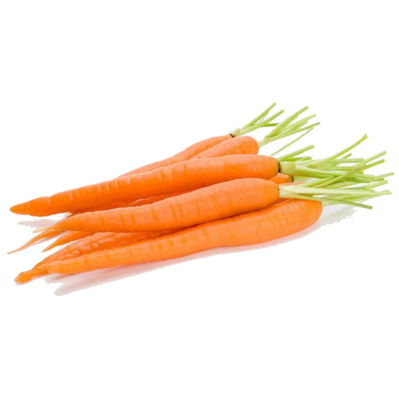 MINI CARROT DISH 400GR BE