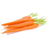 MINI CARROT DISH 400GR BE