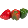 PEPPERS MIX 2 COLOR 5KG ESP