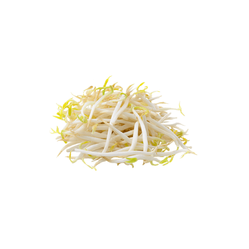 SOYBEAN SPROUTS 200GR NL