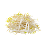 SOYBEAN SPROUTS 200GR NL