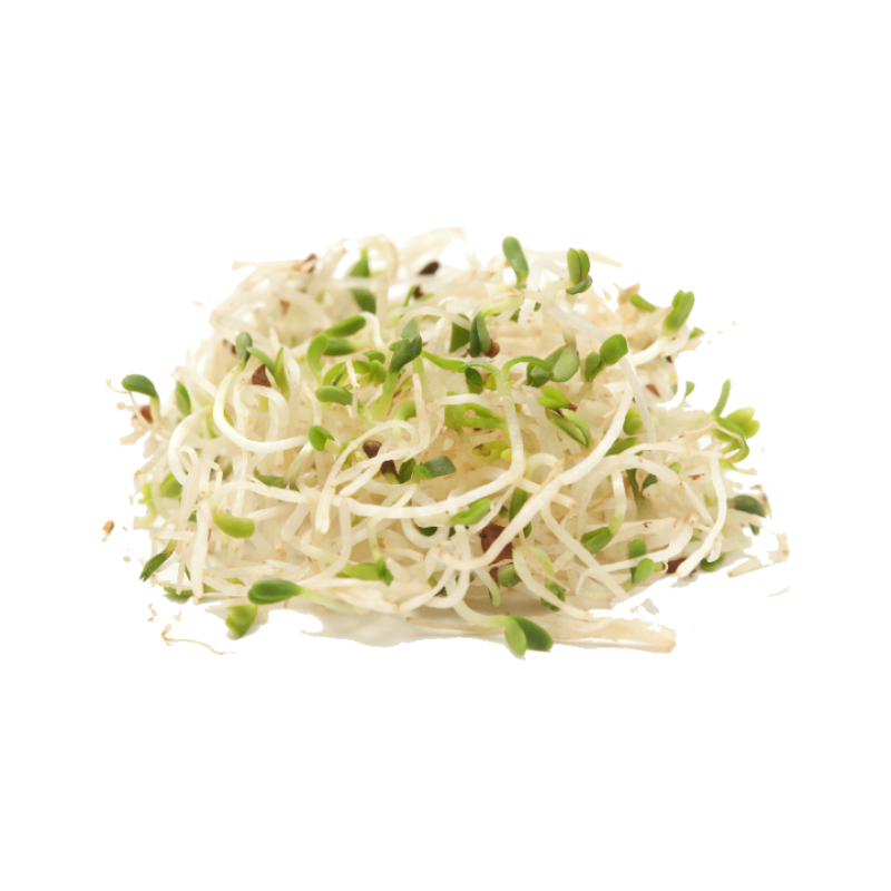 ALFALFA SPROUTS 100GR NL