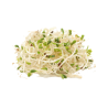 ALFALFA SPROUTS 100GR NL